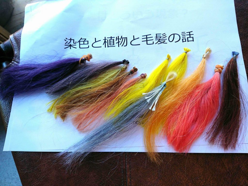 染色と植物tp毛髪の話